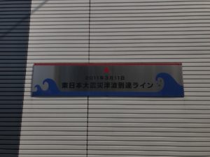 津波到達ﾗｲﾝ2