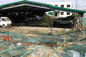 東日本大震災被災状況 2525ﾀｸｼｰ 50