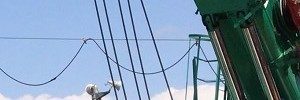 Header(300x100) 06 東北急送