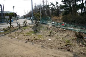 東日本大震災被災状況 2525ﾀｸｼｰ 49